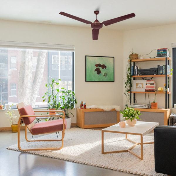 Ceiling Fans