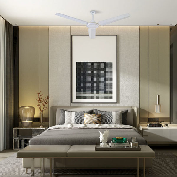 Ceiling Fans