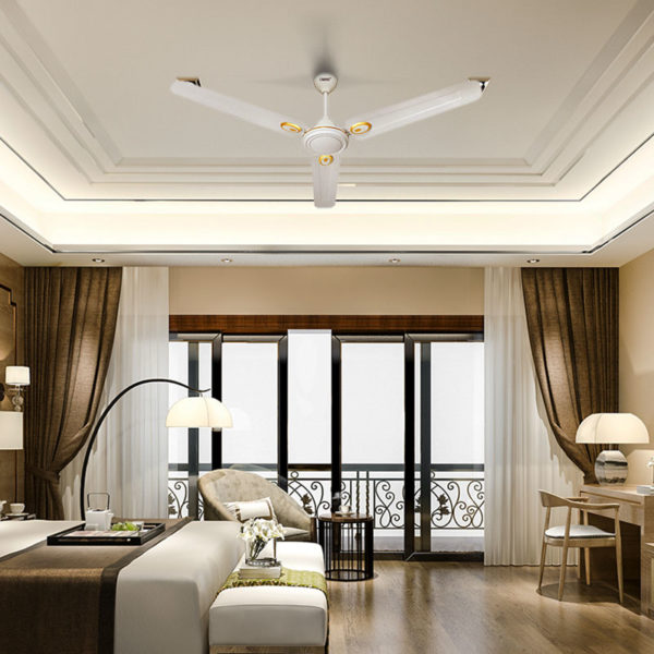 Ceiling Fans