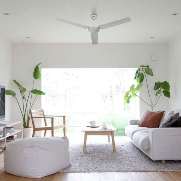Economy Ceiling Fans