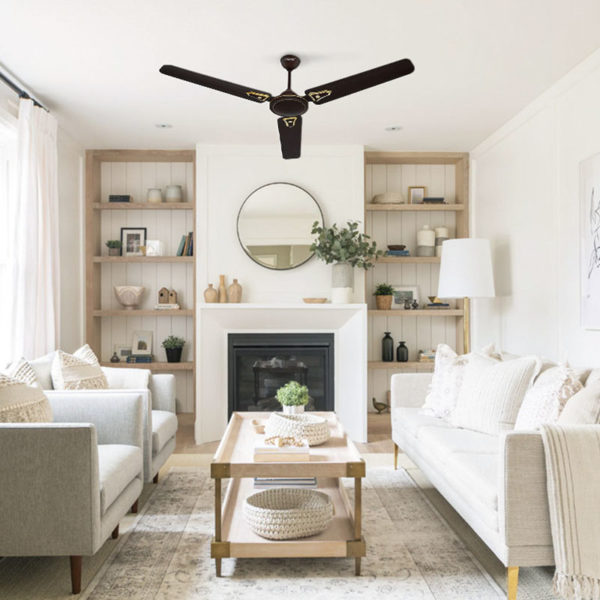 Economy Ceiling Fans