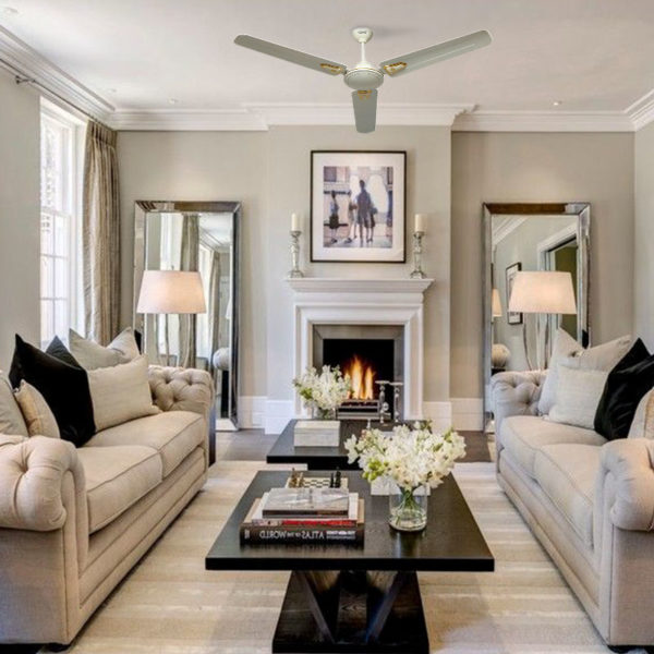 Economy Ceiling Fans