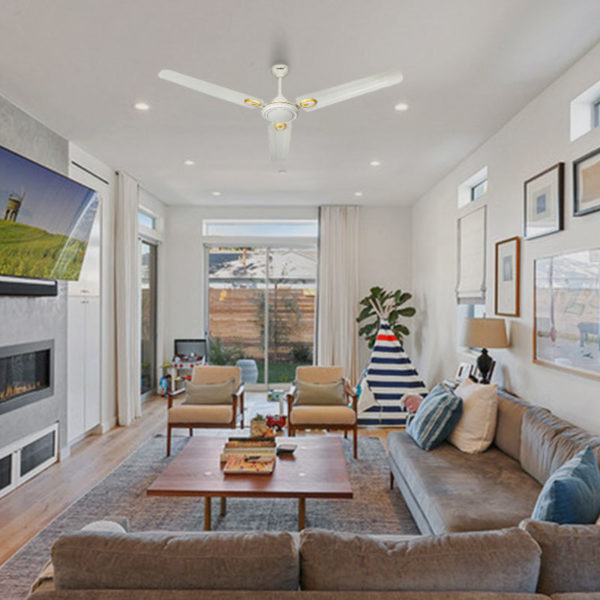 Economy Ceiling Fans