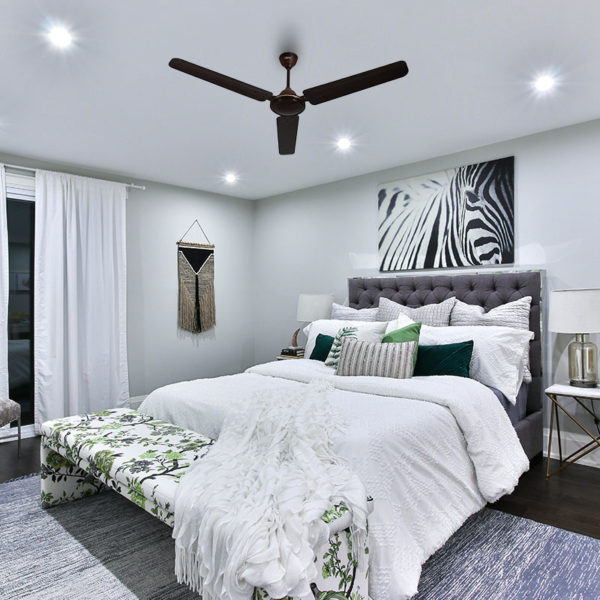 Economy Ceiling Fans