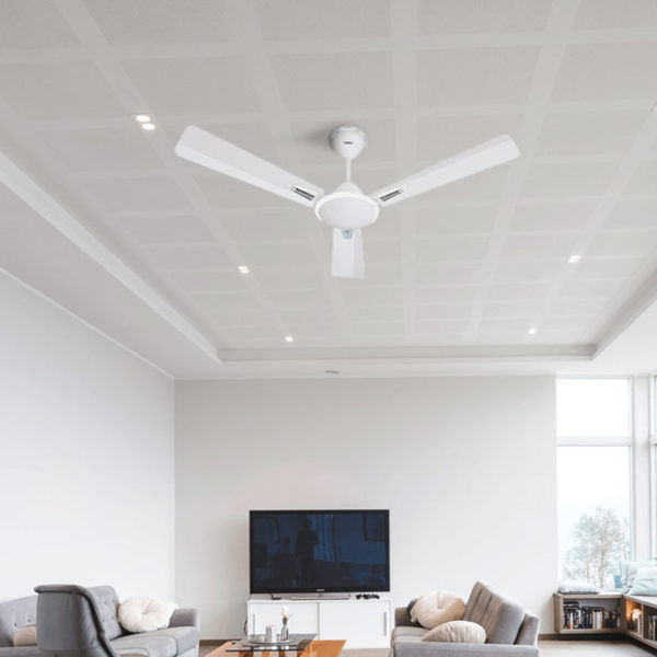 Premium Ceiling Fan