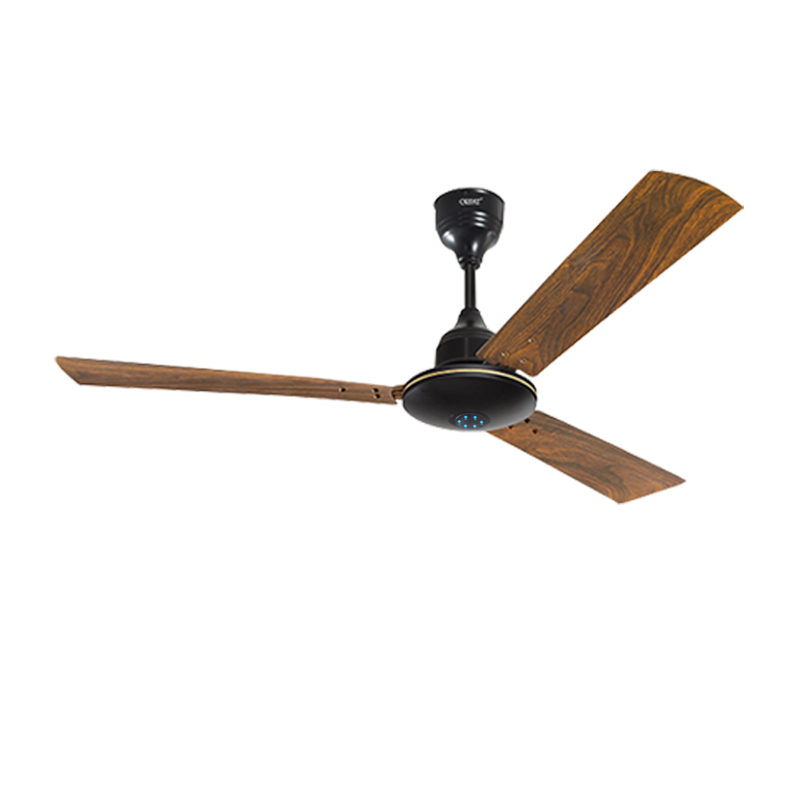 Money Saver Fan