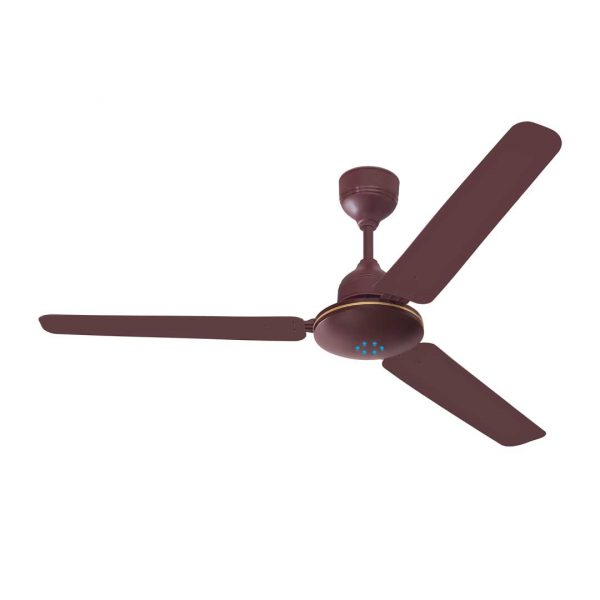 Brown Fan