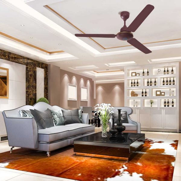 Brown Fan