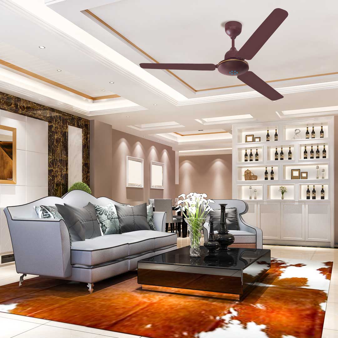 brown-fan-1LL Brown Fan