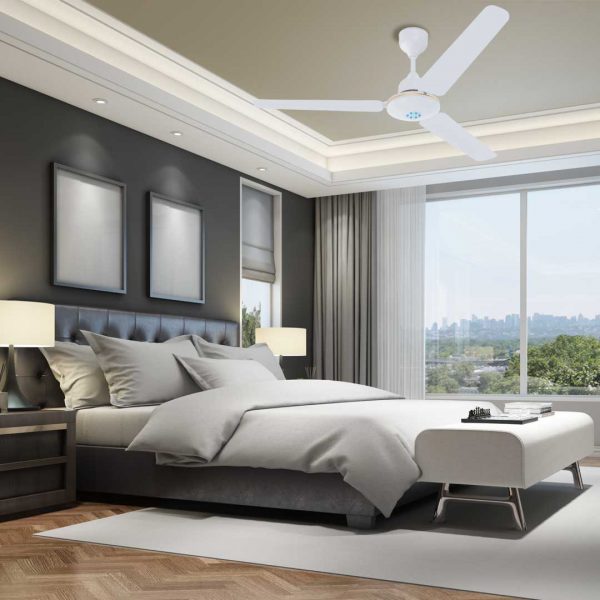 White Fan