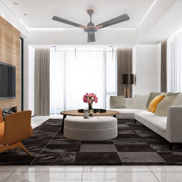 Money Saver Fan