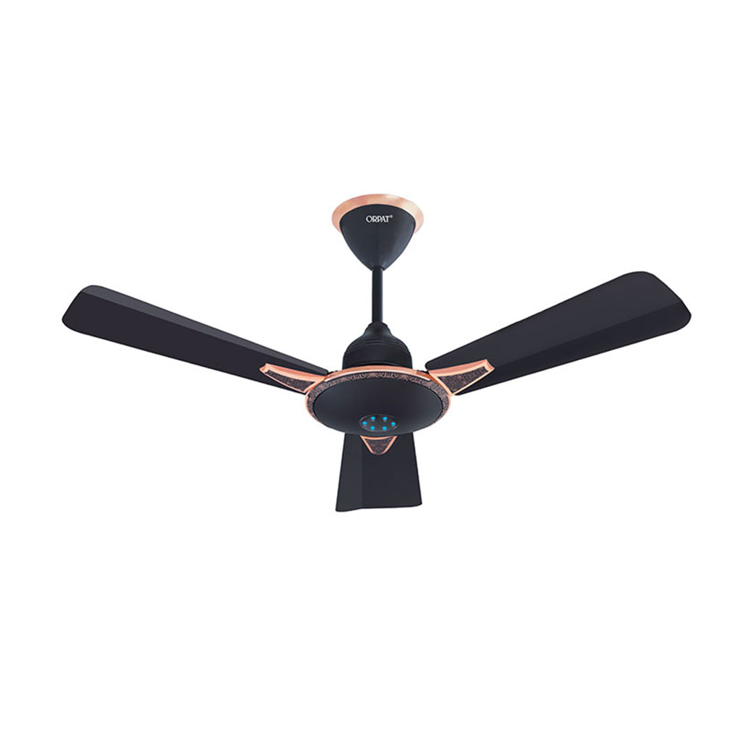 MONEYSAVER-PRIME-ONE-900-ROAST-BROWN-45-DEGREE-0Q9A4813-QQQ-27-07-2022 Money Saver Fan