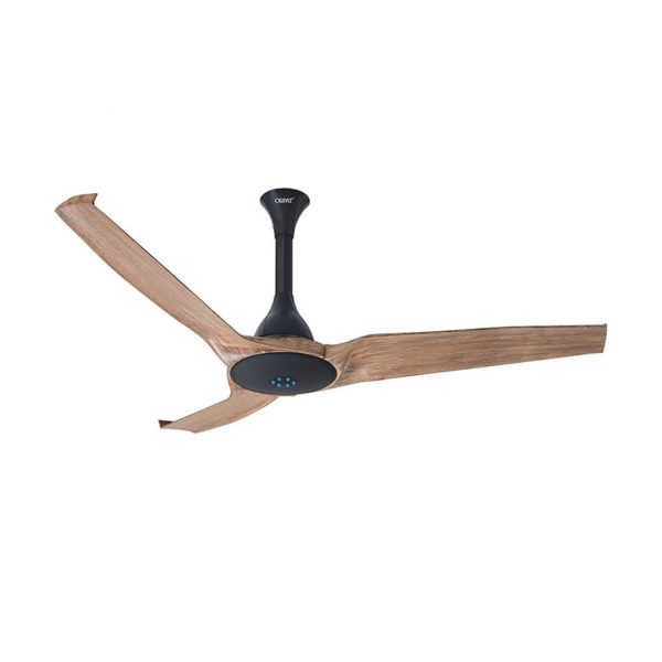Money Saver Fan