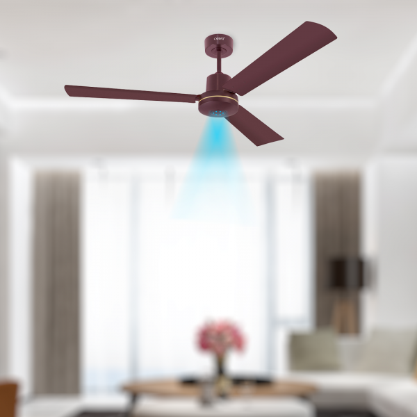 Money Saver Fan