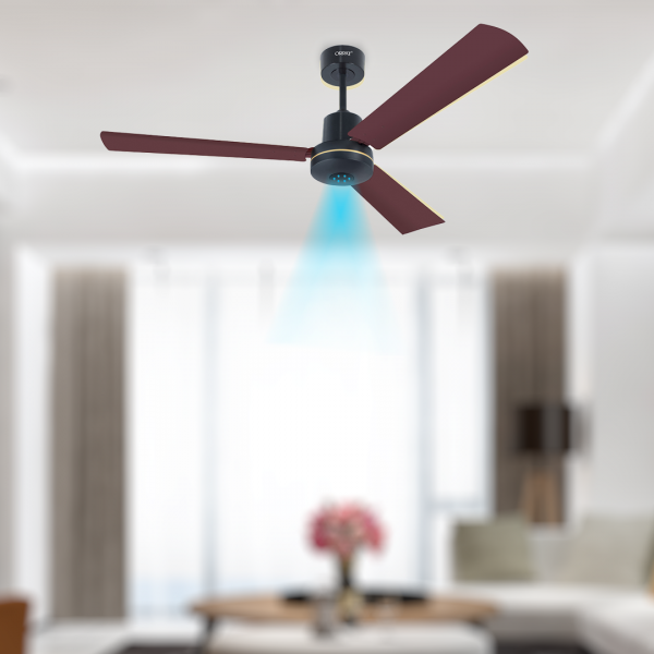 Money Saver Fan