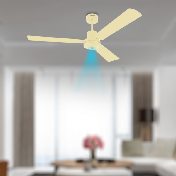 Money Saver Fan