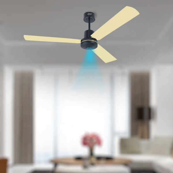 Ceiling Fans