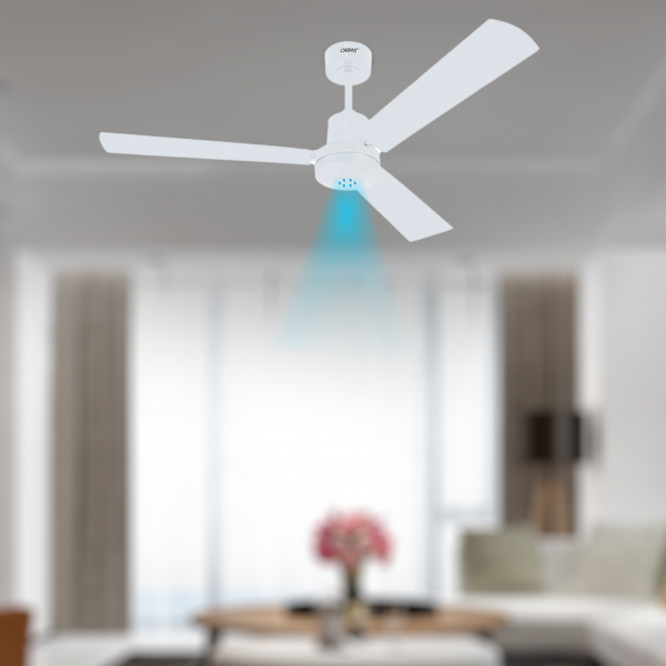 Money Saver Fan