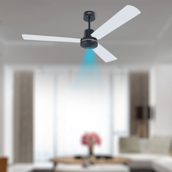 Money Saver Fan