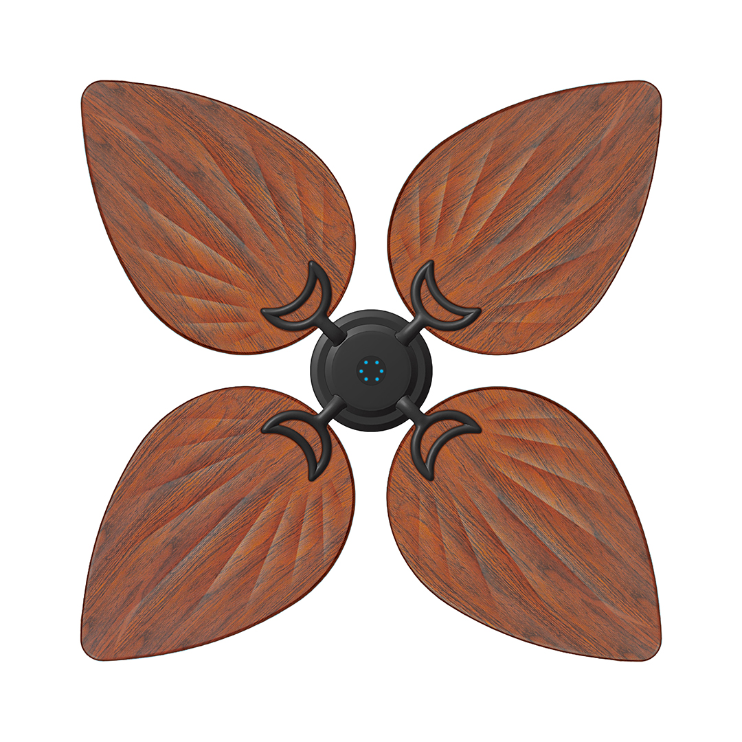 NEW MONEYSAVER GREEN LEAF BOTTOM WENGE TEAK WOOD (27)QQQ 10 04 2024 Money Saver Fan