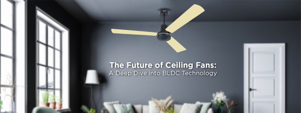 Ceiling Fans