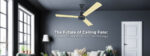 Ceiling Fans