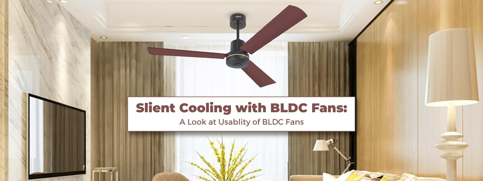 Bldc Fans