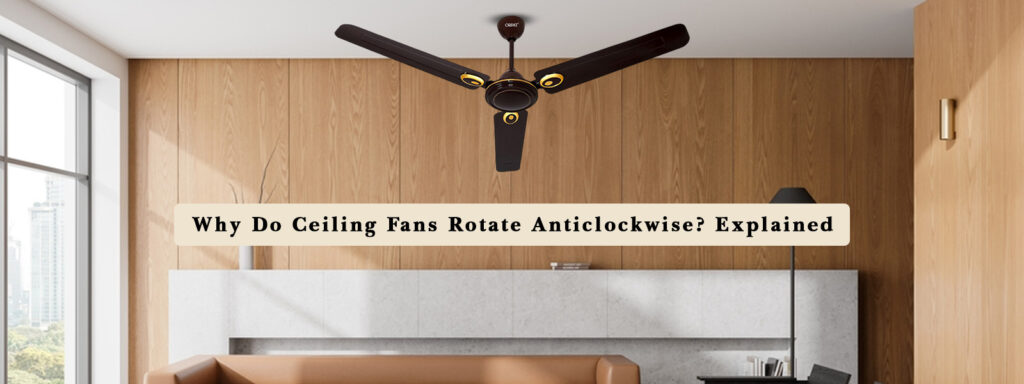 Ceiling Fans