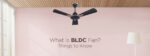 What is BLDC Fan?