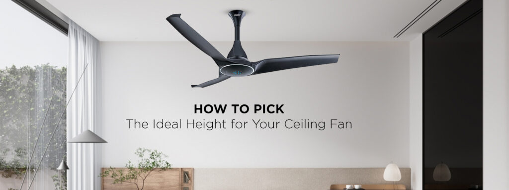 Ceiling Fan