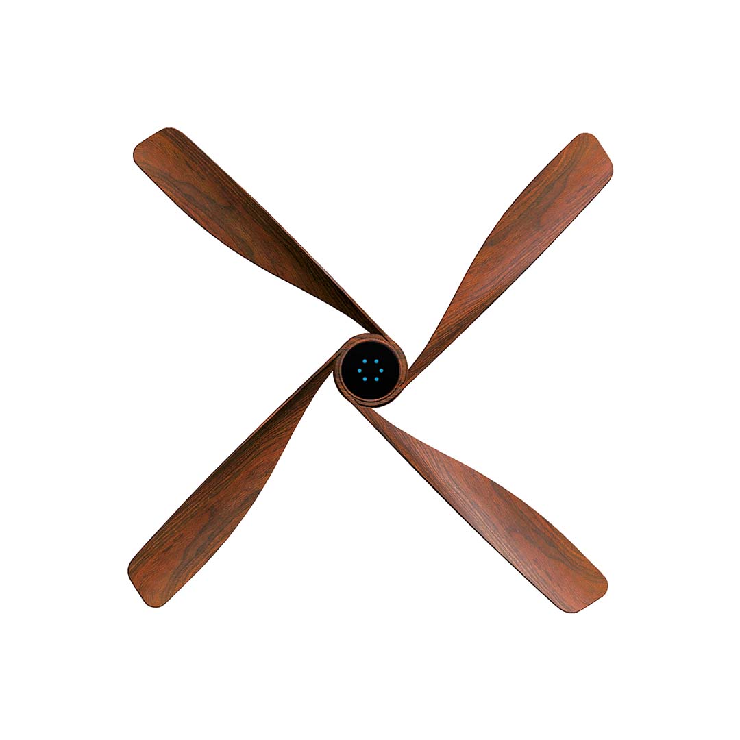 LELANTOS-WENGE-WOOD-BOTTOM-QQQ-29-08-2025-1.jpg