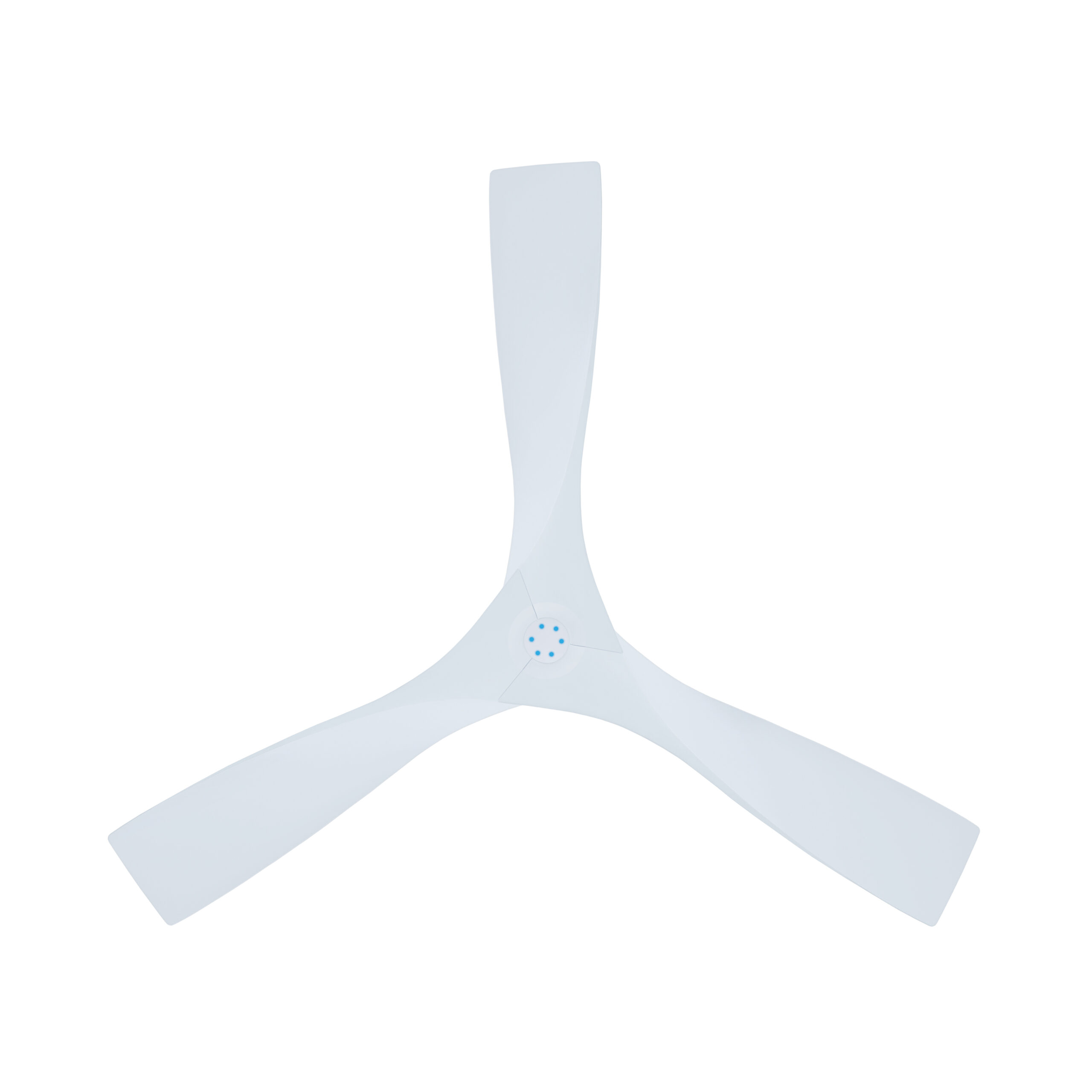 MONEYSAVER-ESTER-HIMALAYAN-WHITE-BOTTOM-IMGL2672-QQQ-03-02-2024-scaled-1-1.jpg
