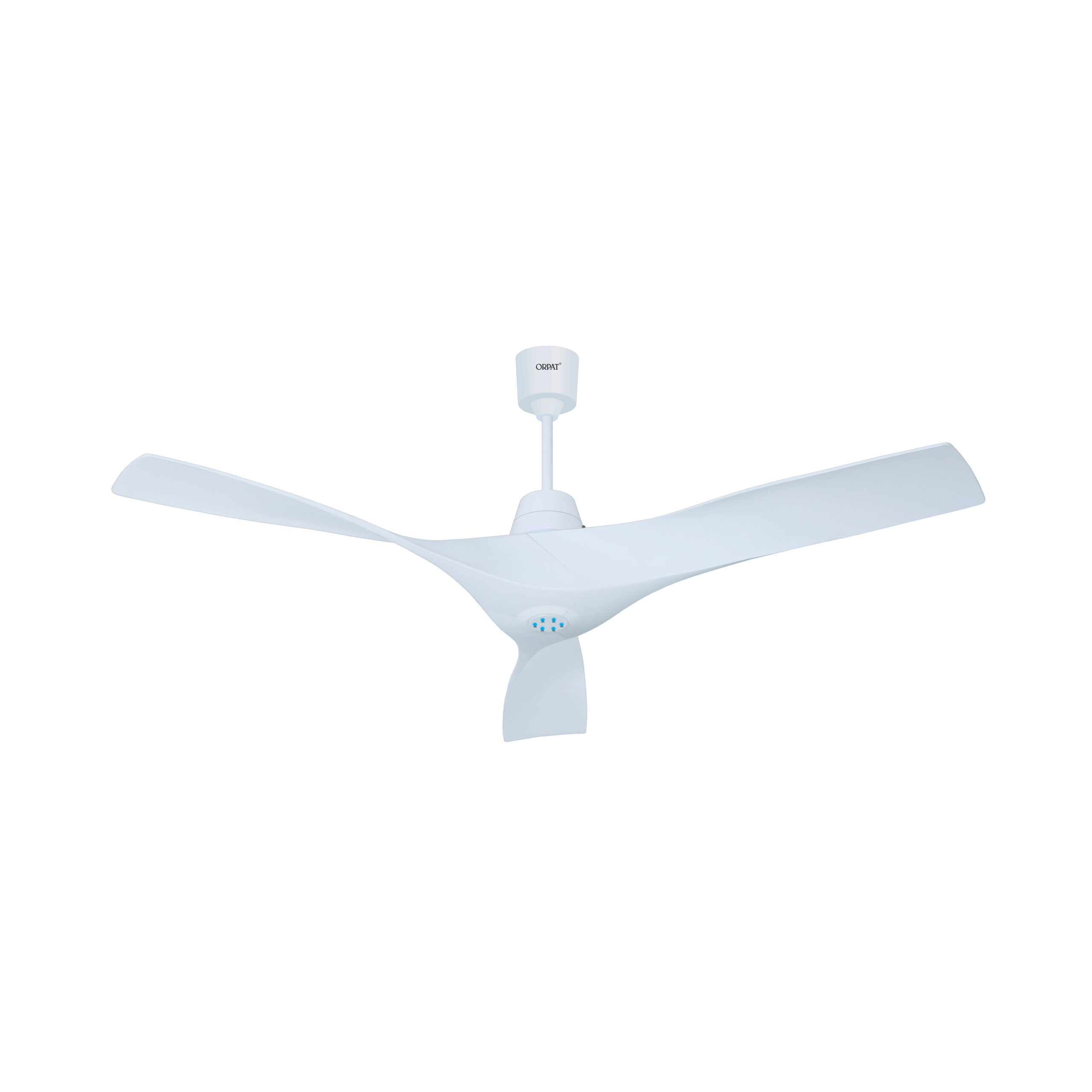 MONEYSAVER-ESTER-HIMALAYAN-WHITE-IMGL2649-QQQ-23-08-2024-scaled-1-1.jpg