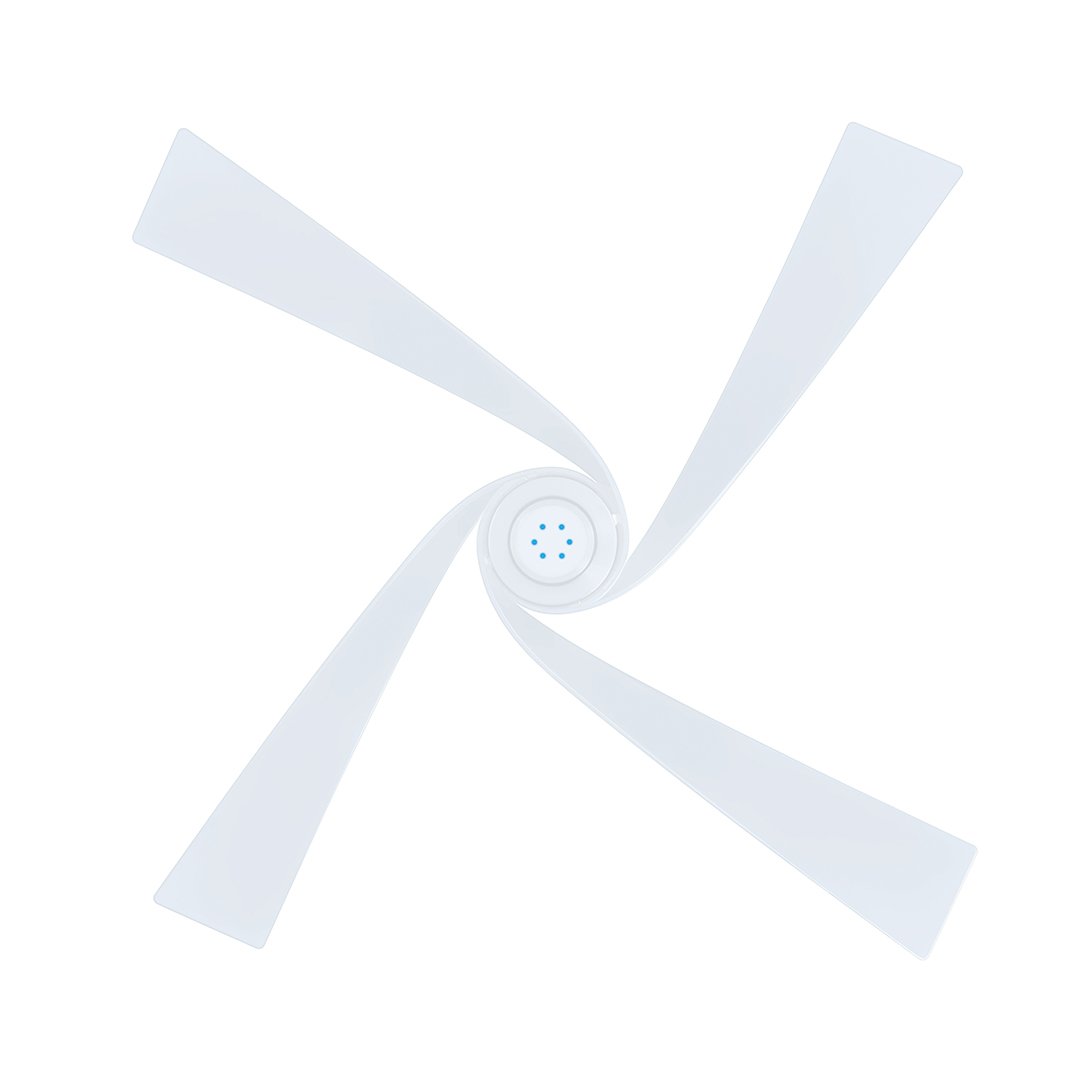 SEA-STORM-BOTTOM-HIMALAYAN-IMGL9381-QQQ-05-05-2026